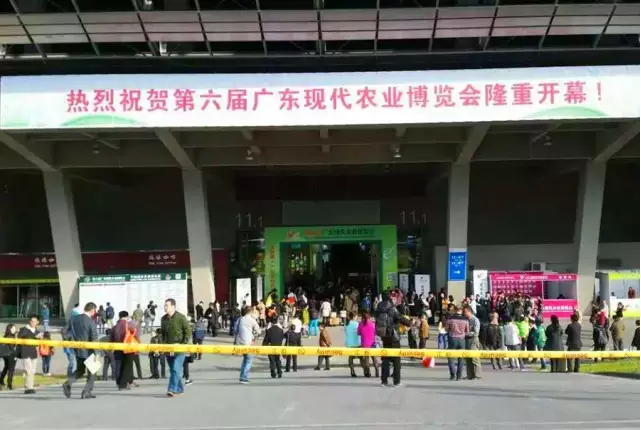 广东华泰农兴农产品交易中心