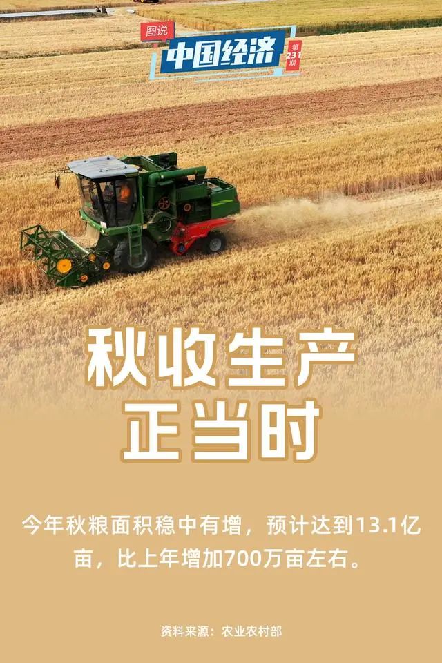 广东华泰农兴农产品交易中心